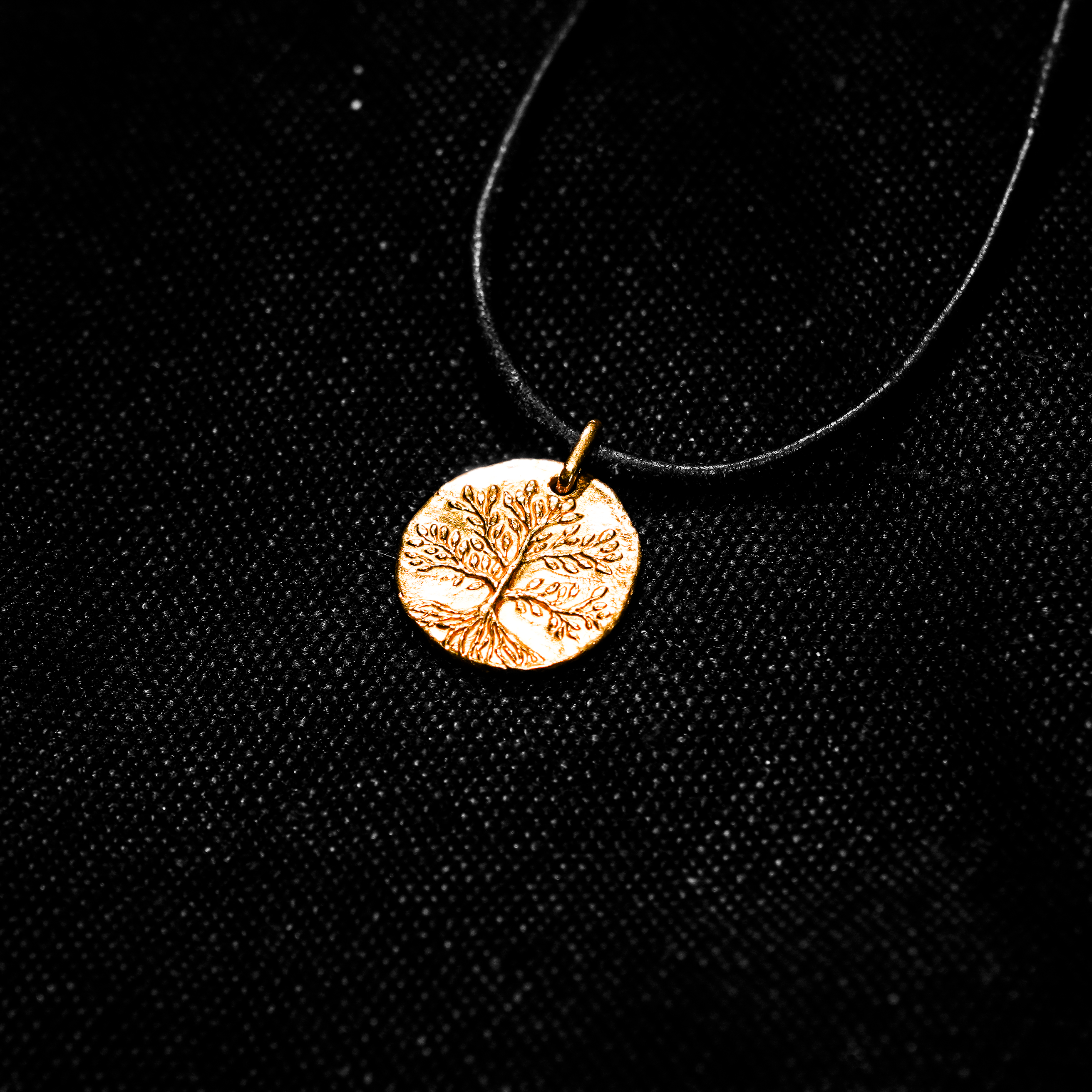 tree-of-life-02.png